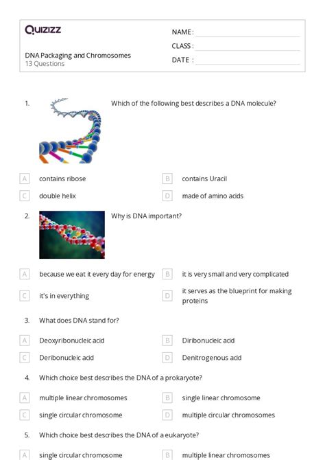 50 Chromosome Structure And Numbers Worksheets For 12th Grade On