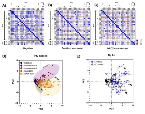 Correlation Of Antibody Binding Between Mpxvvacv Antigens In A Mpox