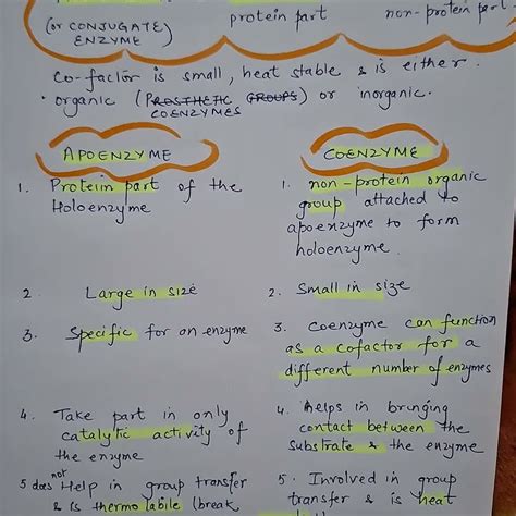 Apoenzyme & Coenzyme difference #enzymes #neet - YouTube