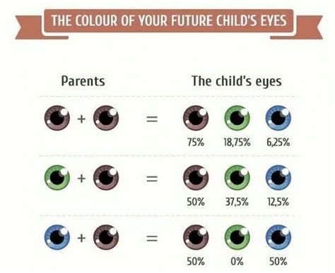 Analyzing Eye Color Genetics Chart And What You Need To Know Eye Color Genetics Chart Eye