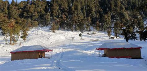 Camping in Chopta | 5 Best Camping Packages in 2025 @ Rs1099