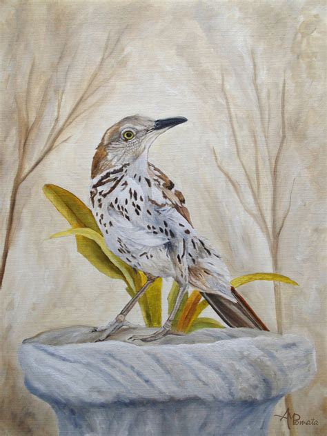 Fr Her Brown Thrasher Angeles M Pomata Als Kunstdruck Oder Gem Lde