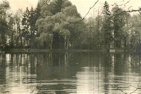 Brücke und Kolonnade Förderverein Kleiner Tannenwald e V