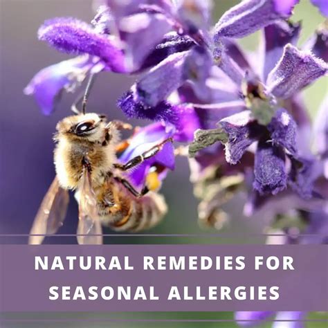 7 Natural Remedies For Seasonal Allergies Aromatherapy Anywhere