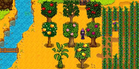 When Do Fruit Trees Bear Fruit In Stardew Valley