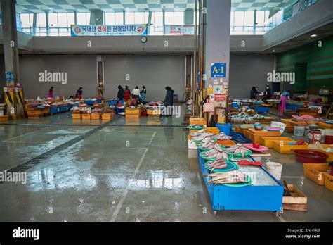 Jagalchi Fish Market The Largest Seafood Market In Busan South Korea On