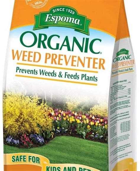 Weed And Feed Plant Best Weed And Feed For Lawns How When To Use