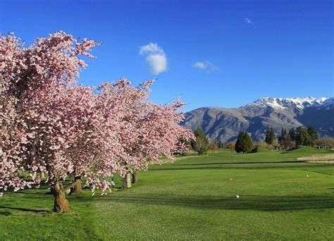 Arrowtown Golf Course — PGQ :: Peak Golf Queenstown | Based in ...