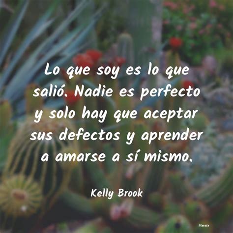 Frases De Nadie Es Perfecto Literato