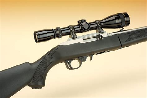 Ruger 1022 Takedown Review Rifleshooter