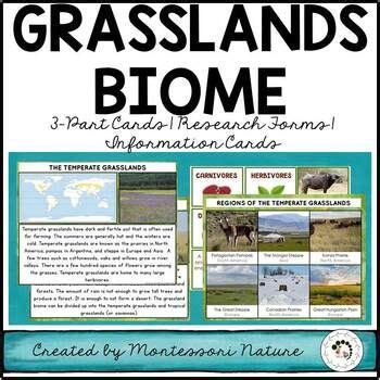 Grassland Biome Characteristics, Animal and Plant Adaptations ...