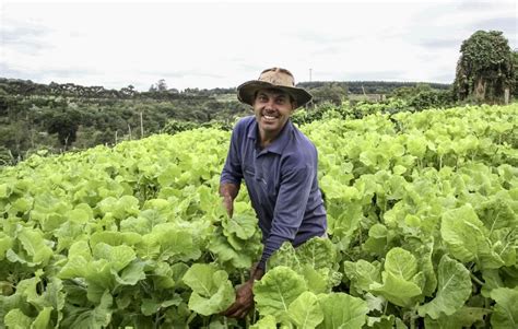 Repasses Do Terra Forte Ultrapassam Nove Toneladas Prefeitura