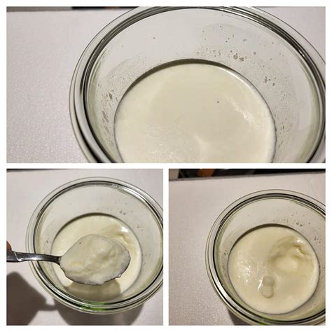 Joghurt Selbst Gemacht Aus Der Kochkiste Rezept Kochbar De