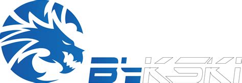 Bykski – купить водяное охлаждение для компьютера Bykski в интернет ...