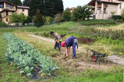 Coltivare Coltiviamo Agricoltura Sociale Tre Premi Da A