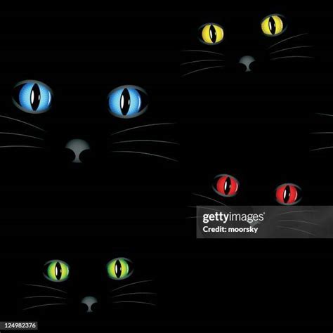 Glowing Cat Eyes Photos and Premium High Res Pictures - Getty Images