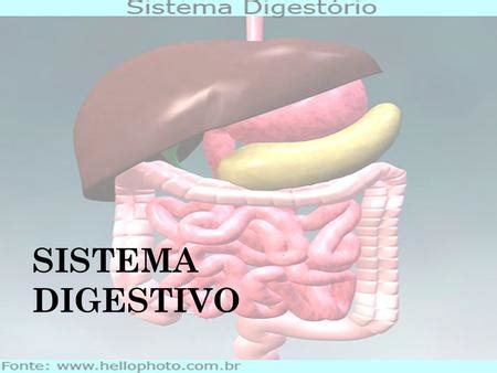 Avalia O Do Aparelho Digest Rio Ppt Video Online Carregar