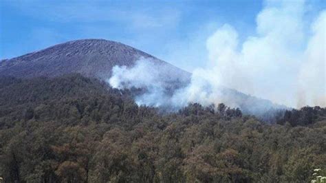 Hektare Lahan Di Lereng Gunung Semeru Terbakar Upaya Pemadaman Cuma