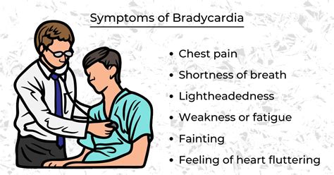 Bradycardia Manhattan Cardiology Manhattan NY