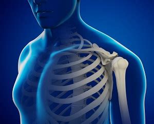 shoulder joint replacement baltimore outpatient shoulder replacement