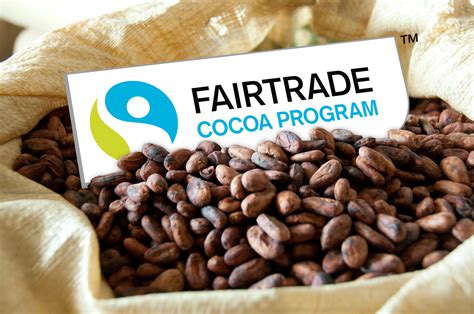 Le Label Fairtrade Tire La Sonnette Dalarme Pour Le Marché Du Cacao