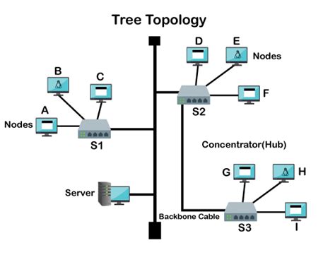 What Is Tree Topology Definition And Explanation Javatpoint The Best