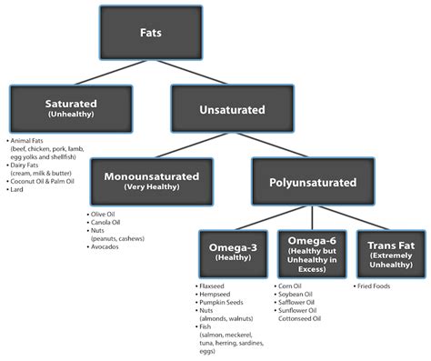 Types of Fat: A Complete Visual Breakdown | 2mag