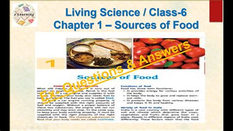 Class Living Science Ch Sources Of Food Question Answers