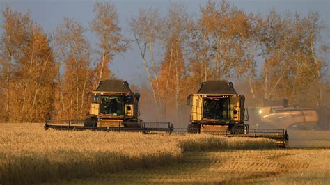 Preocupación en el mundo agrícola por el bajo precio del trigo Diario