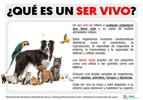 Qu Es Un Ser Vivo Definici N De Ser Vivo