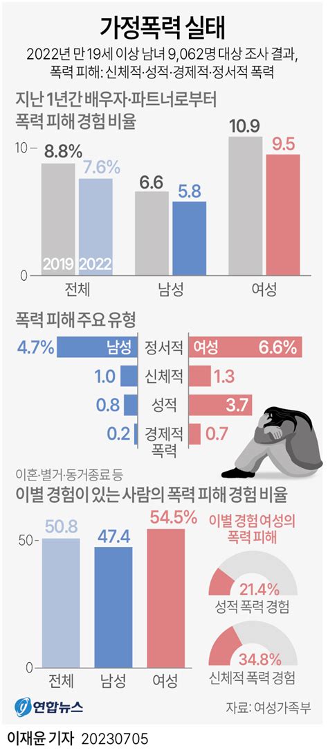 그래픽 가정폭력 실태 연합뉴스