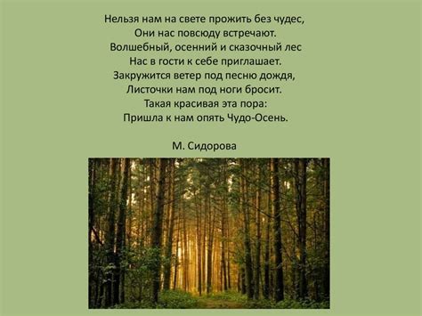 Лес - наше богатство. Викторина - презентация онлайн