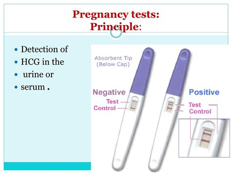 Ppt Diagnosis Of Pregnancy Andantenal Care For Undergraduate Powerpoint Presentation Id1153625