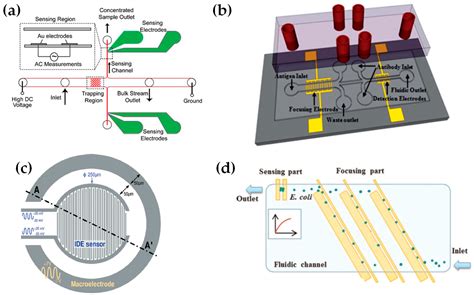 Sensors Free Full Text Combined Dielectrophoresis And Impedance Systems For Bacteria