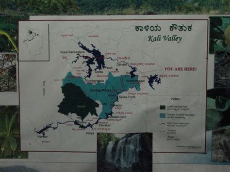 Kali River in Dandeli, Karnataka | BangaloreOrbit.com