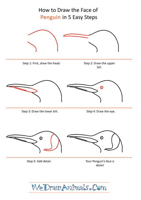 How to Draw a Penguin Face