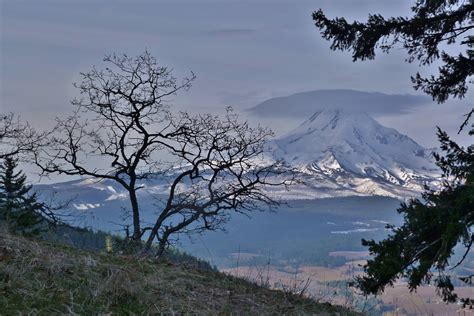 Mt Hood In The Morning From A Hillside Above Parkdale Oregon Usa Oc