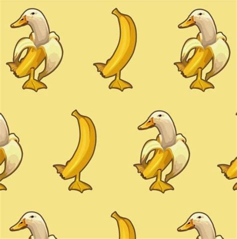 Pin By Team Bananas On Team Banana Duck Wallpaper Duck