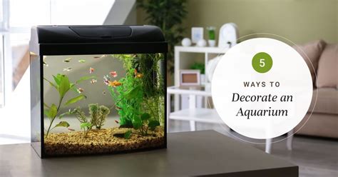 How To Make Fish Tank Decorations At Home Home Decorating Ideas