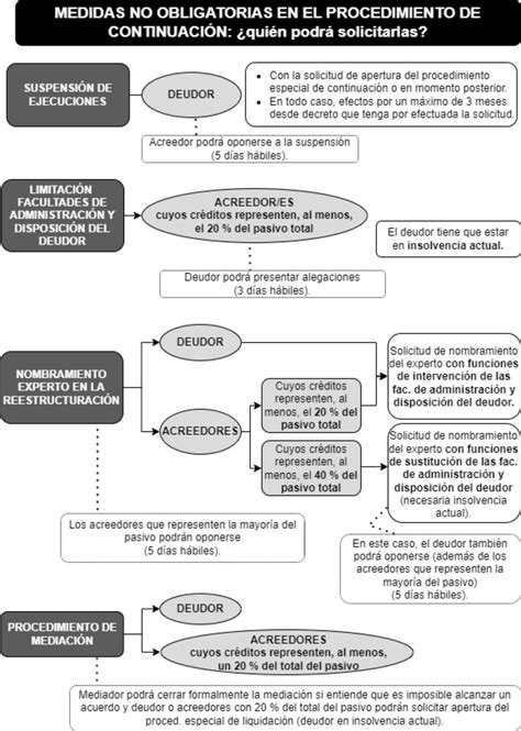 Esquema Sobre Las Medidas No Obligatorias En El Procedimiento Especial