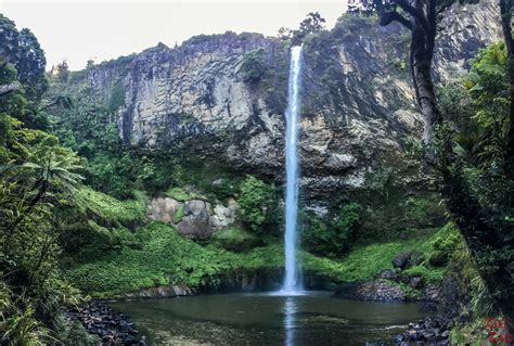 Bridal Veil Falls Nz Raglan Visit Tips Photos