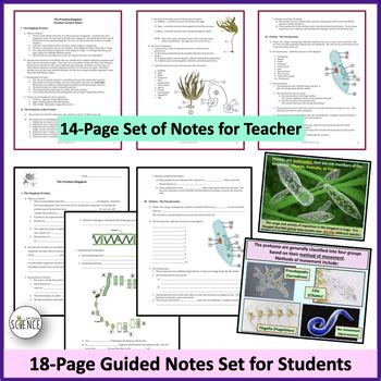 Protista Kingdom (Algae and Protozoa) PowerPoint and Notes by Amy Brown ...