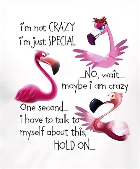 Pin By Melissa Burgh On Quotes SVG Funny Quotes Flamingos Quote