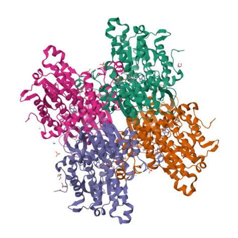 Rcsb Pdb Ajt Crystal Structure Of The H A Mutant Of S Adenosyl L