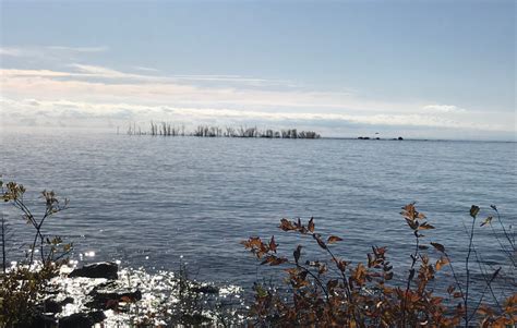 Hog Island State Forest Campground