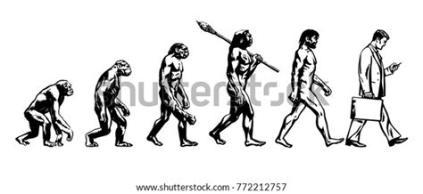 Monkey Human Evolution Chart