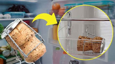 Un Bouchon En Li Ge Dans Le Frigo Cest La Solution Redoutable Ce