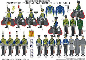 Tafel 163 Königreich Preußen Husaren Regiment No 5 Pommersches 1810