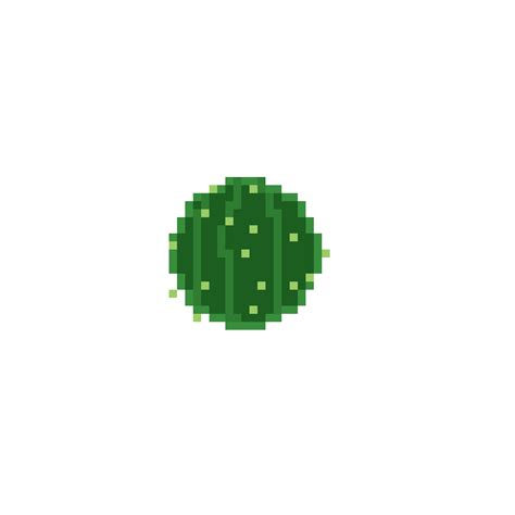 cactus : r/PixelArt