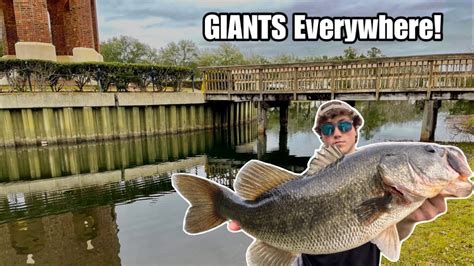 These Tiny Ponds Are Loaded W Giant Bass Surprise Catch Youtube